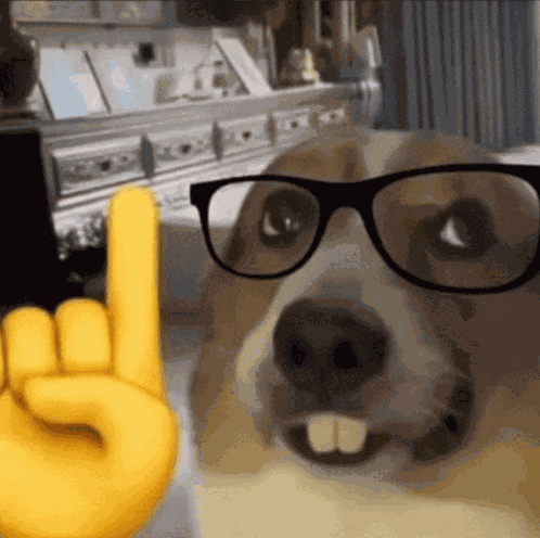 Woodz Nerd GIF