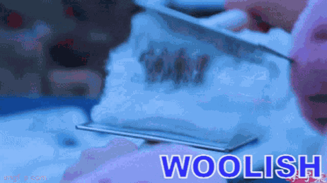 Woolish Wg GIF