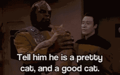 Worf Good Kitty GIF