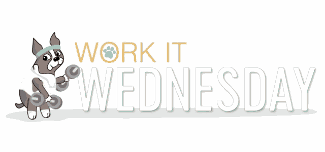 Work It Wednesday Zumba GIF