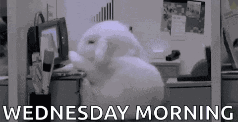 Work Monday GIF