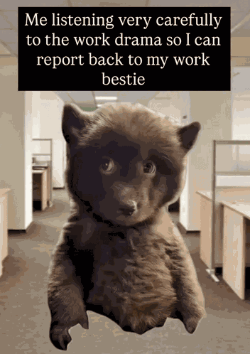 Working Place Corporate Life GIF