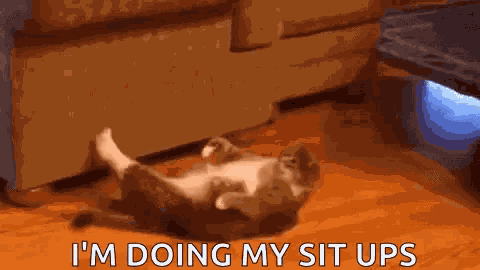 Working Very Hard GIF