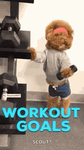Workout Dog GIF
