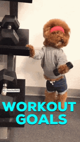 Workout Goals Workout GIF