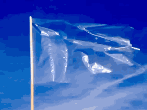 World Flag Zombie Poc Yt GIF
