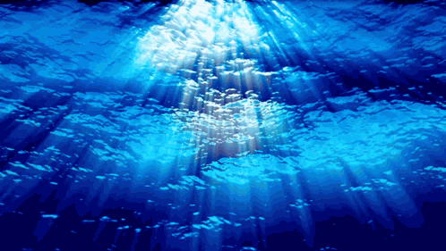 World Oceans Day Oceans Day GIF
