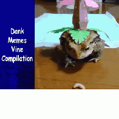 Worm Frog GIF