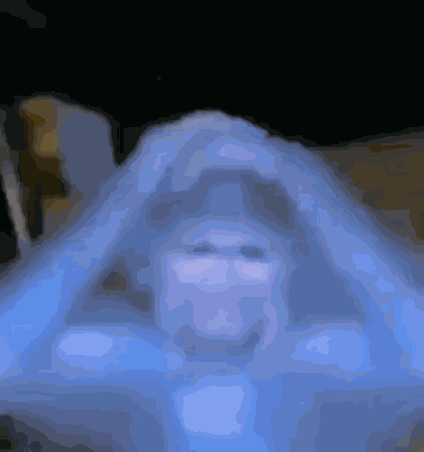 Worried Monkey Monkey GIF
