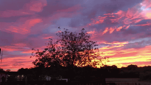 Wow Nature GIF