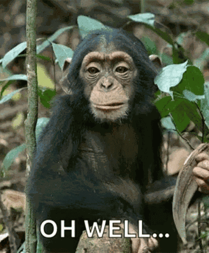 Wow Yeah GIF