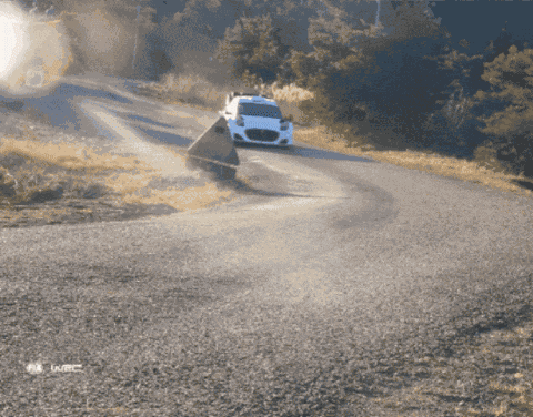 Wrc Racing GIF