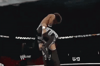 Wrestling Concussion GIF