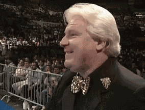 Wrestling GIF