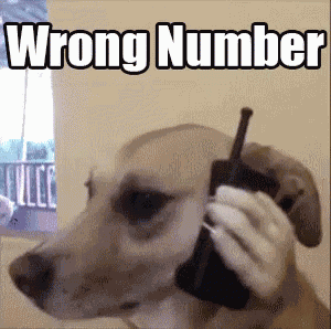 Wrong Number GIF