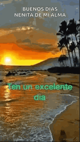 Wrotela1 Rotelaw GIF