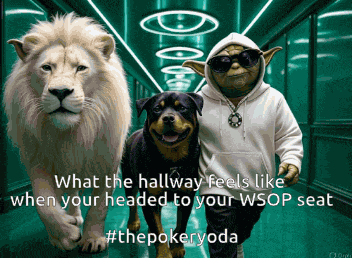 Wsop Wsop2025 GIF