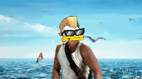 Wtd What The Duck GIF
