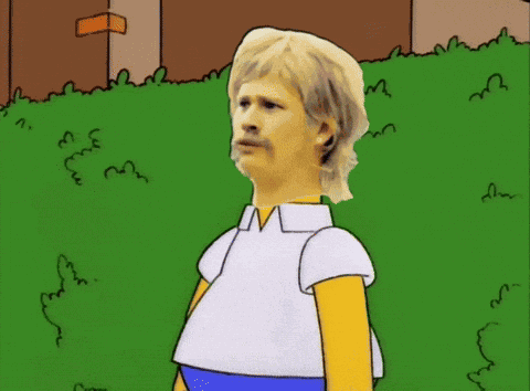 Wtf GIF
