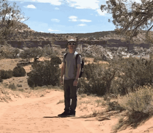 Wtf Confused GIF