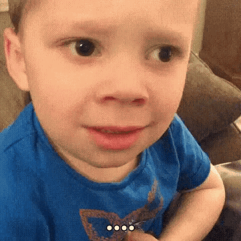 Wtf GIF