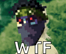 Wtf Genuine Undead GIF