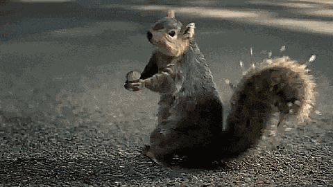 Wtf GIF