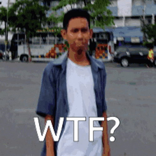 Wtf I Dont Know GIF