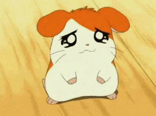 Wtf Imsilly GIF