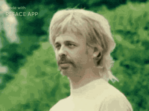 Wtf GIF
