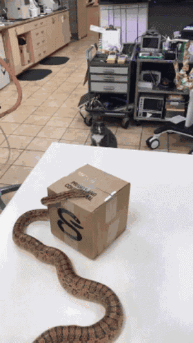 Wtf My God GIF