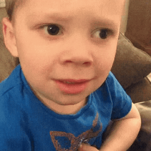 Wtf GIF