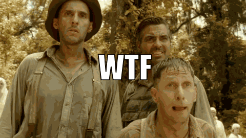 Wtf O Brother Where Art Thou GIF