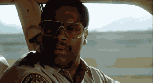 Wtf Police GIF