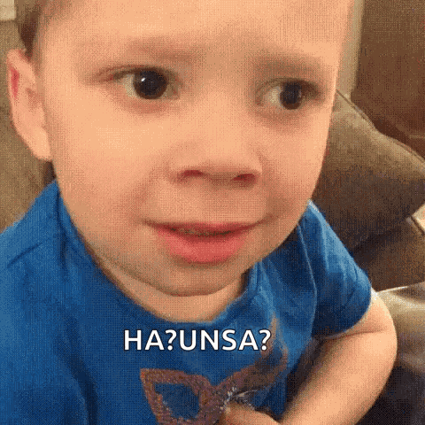 Wtf GIF