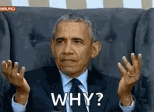 Wtf What Do You Mean GIF