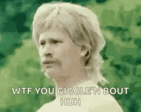 Wtf What GIF