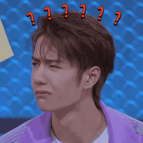 Wtf What The Fuck GIF