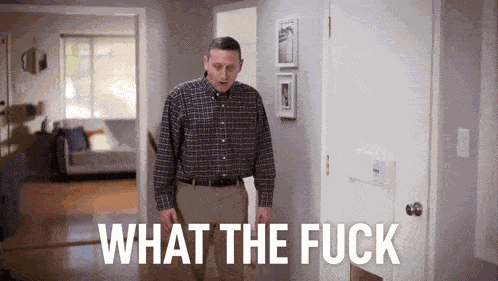 Wtf What The Fuck GIF
