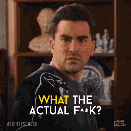 Wtf GIF
