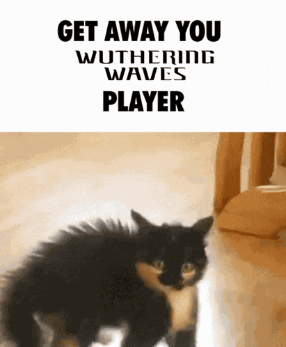 Wuthering Waves Wuwa GIF