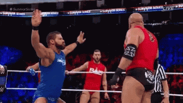 Wwe Hhh GIF