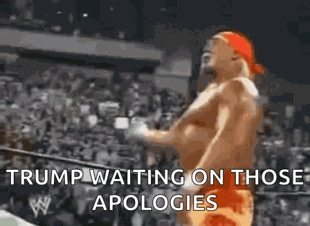 Wwe Hulk GIF