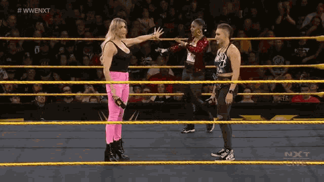 Wwe Nxt GIF