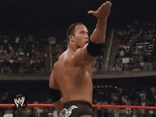 Wwe The Rock GIF