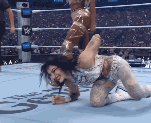 Wwe Wrestling GIF