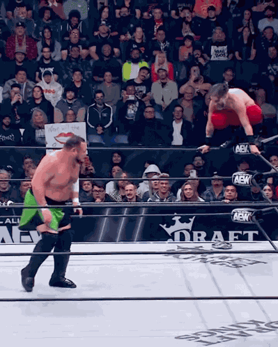 Wwe Wwe Meme GIF
