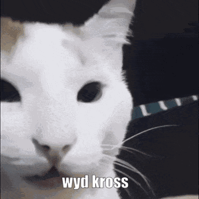 Wyd Kross Balls GIF