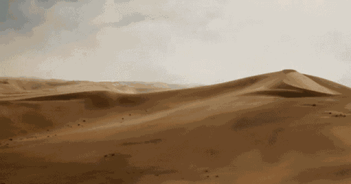 X D123 GIF