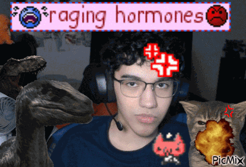 Xehrno Cute GIF